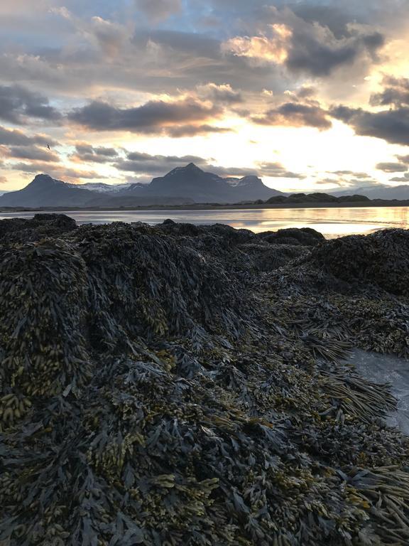 Framtid Camping Lodging Barrels Hotel Djúpivogur Exterior foto